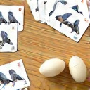 Wingspan bordspel met vogelkaarten